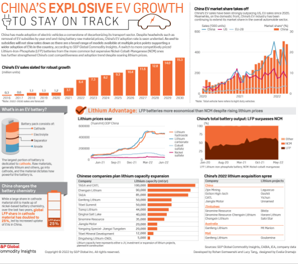Infographic: China's explosive EV growth to stay on track