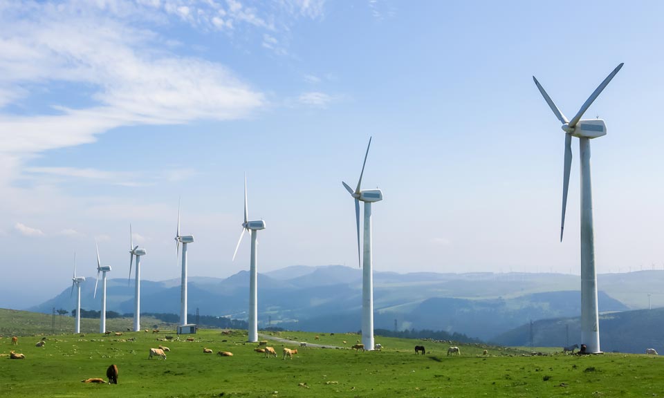 Feature: Hungry for green energy, chemicals giant BASF steps into renewables ring