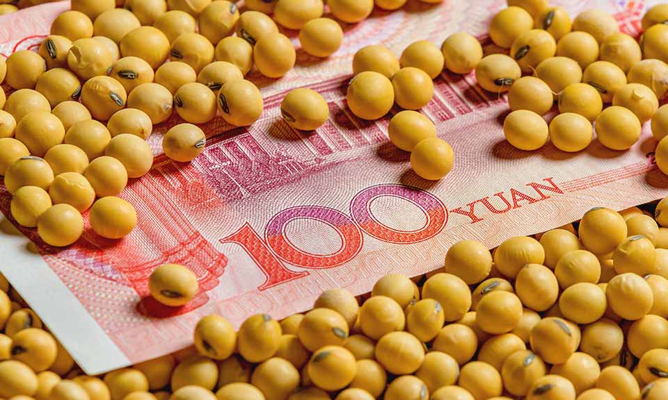 China Soybean prices dipped by 4.7% in a week