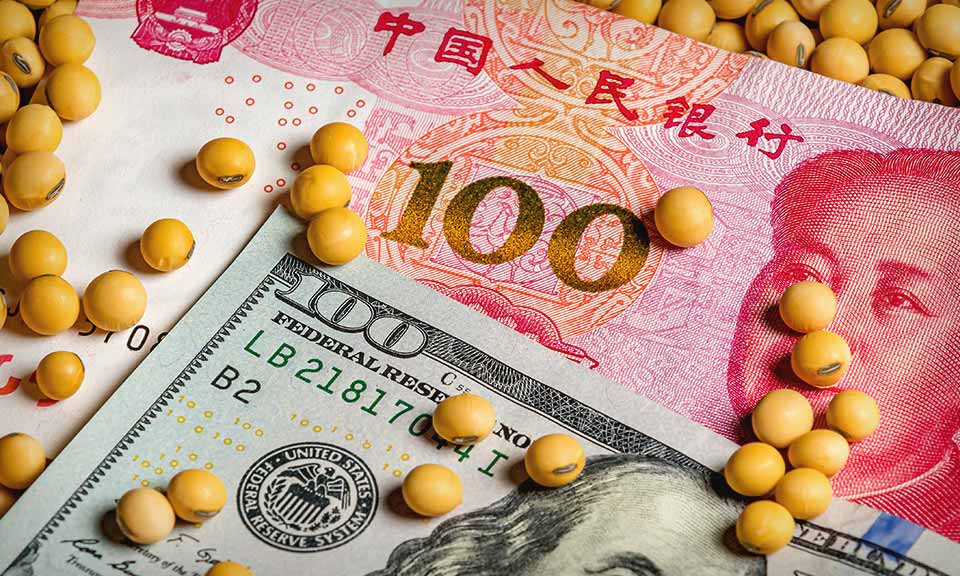 Soybean meal prices in China hit record high amid tight supply